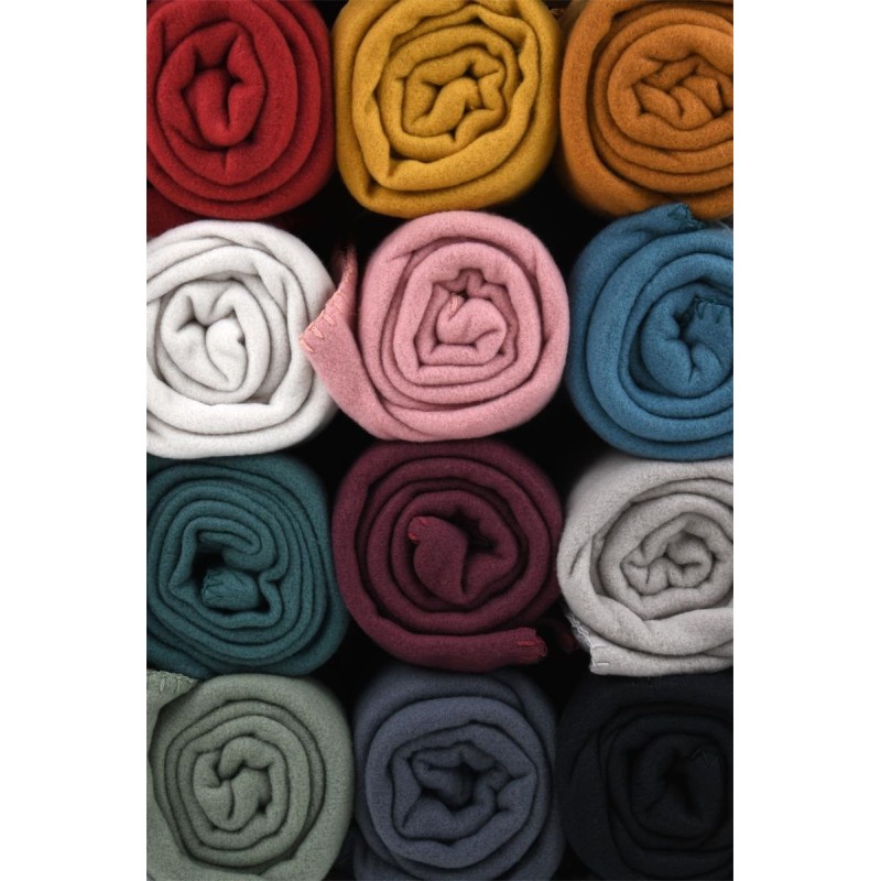 Plaid Carlton 125x150 cm – Polaire douce 100% polyester, finition point de cheval, plusieurs coloris