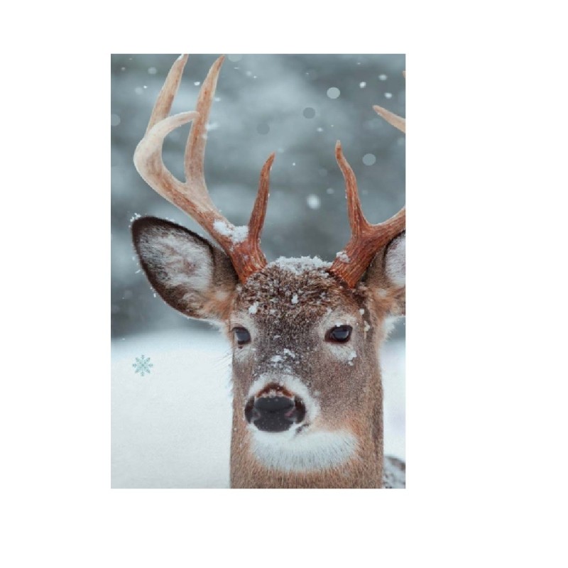 Coussin déco 40 x 40 cm – Cerf Le Fiona