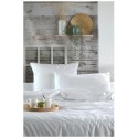 1 Taie d'oreiller percale de coton uni Elysee